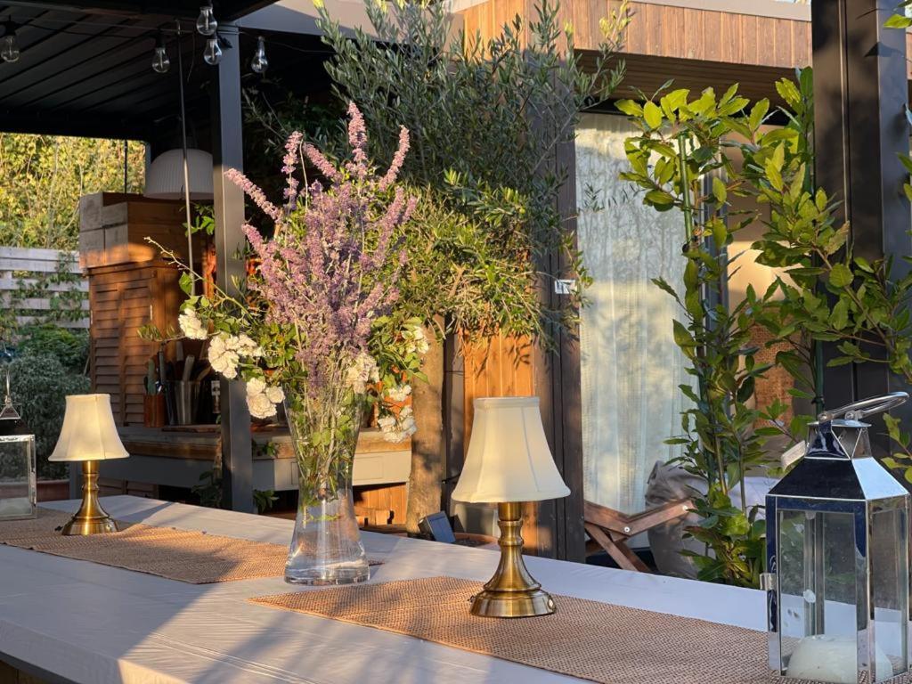 Dragonfly Glamping Spa Retreat آشفورد المظهر الخارجي الصورة