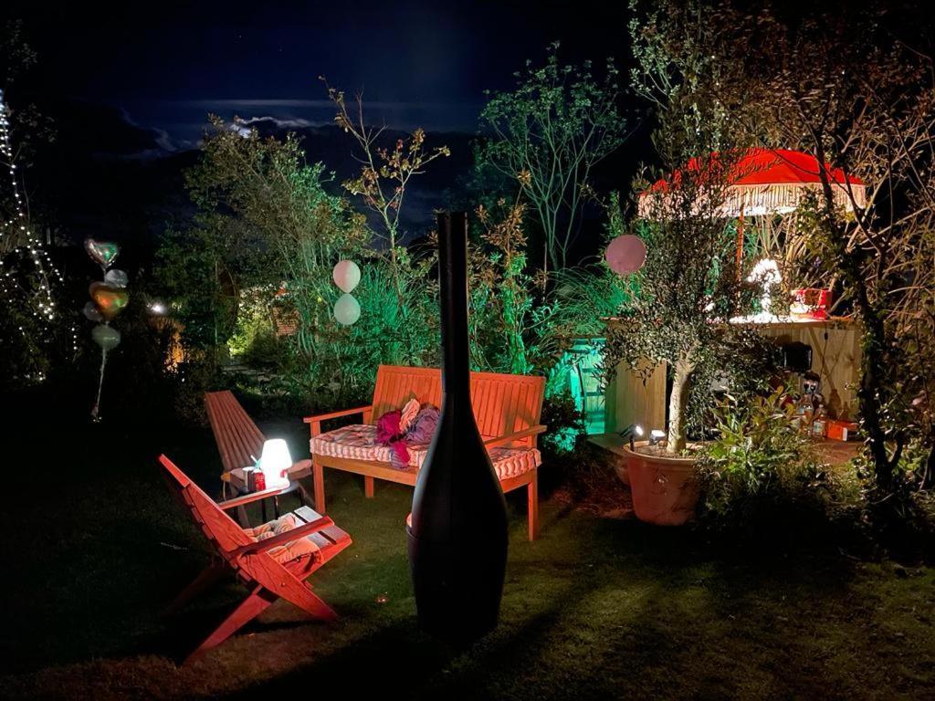 Dragonfly Glamping Spa Retreat آشفورد المظهر الخارجي الصورة