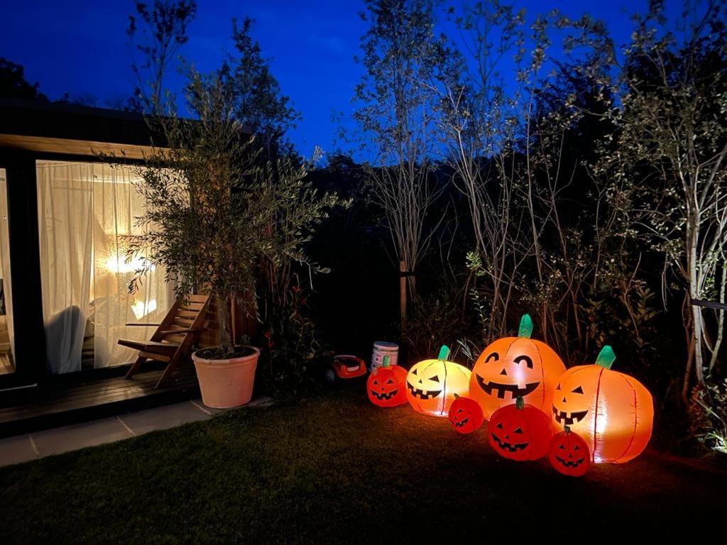 Dragonfly Glamping Spa Retreat آشفورد المظهر الخارجي الصورة