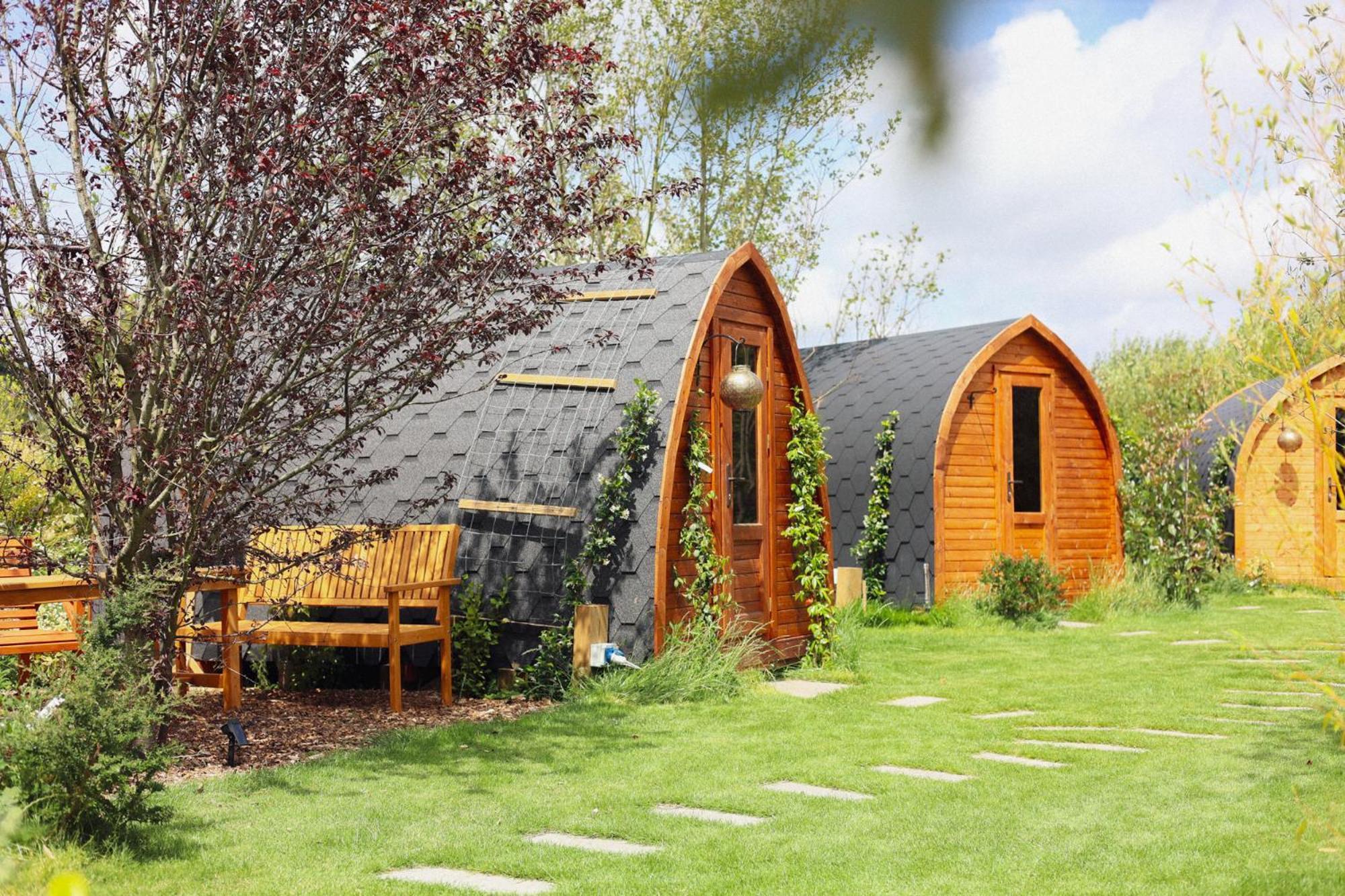 Dragonfly Glamping Spa Retreat آشفورد المظهر الخارجي الصورة